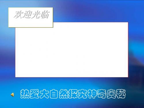 植物体的结构层次PPT课件1