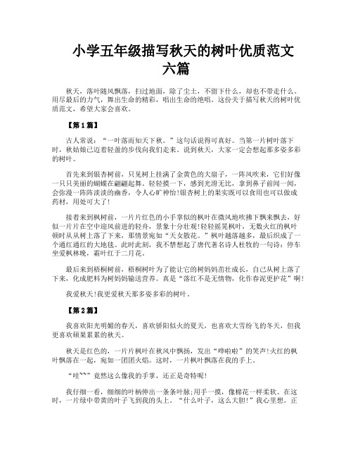 小学五年级描写秋天的树叶优质范文六篇