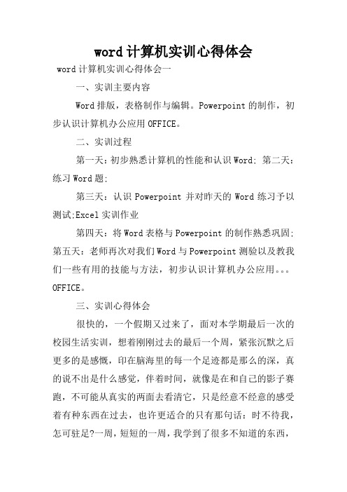 word计算机实训心得体会