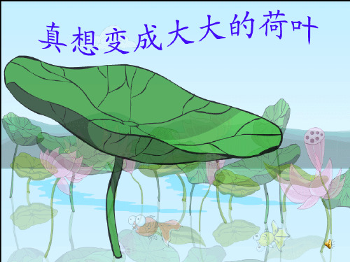 真想变成大大的荷叶ppt课件