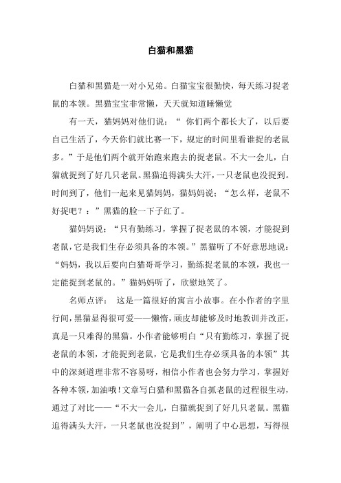 白猫和黑猫