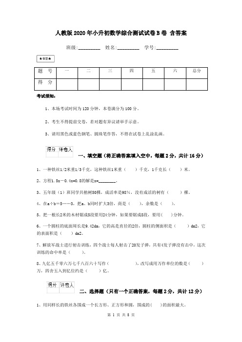 人教版2020年小升初数学综合测试试卷B卷 含答案