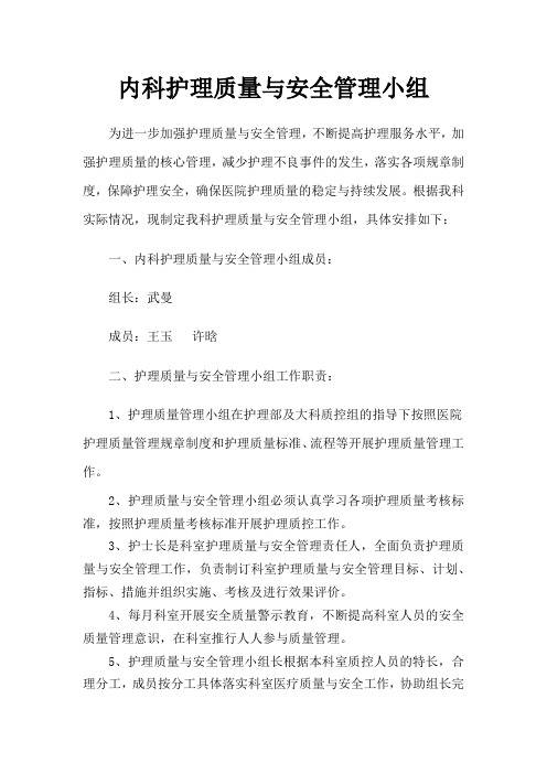 内科护理质量与安全管理小组