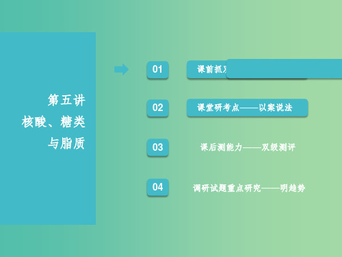 江苏专版2019版高考生物一轮复习第一部分分子与细胞第一单元细胞及其分子组成第五讲核酸糖类与脂质课件