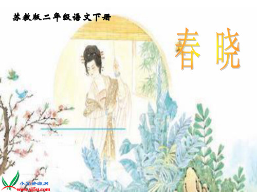 苏教第四册二下1古诗两首《春晓》