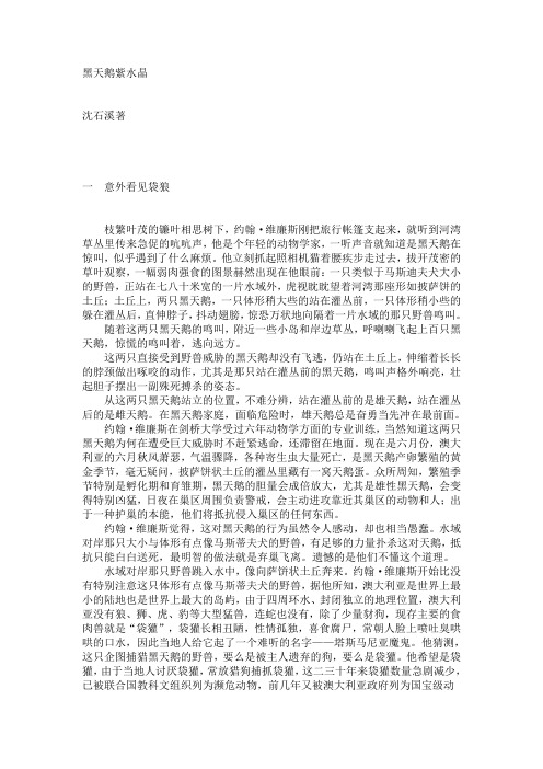 黑天鹅紫水晶全册