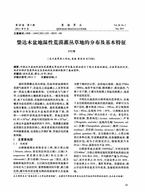 柴达木盆地温性荒漠灌丛草地的分布及基本特征