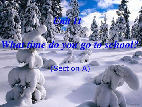 人教版七年级英语上Unit 11 What time do you go to school？Section A课件