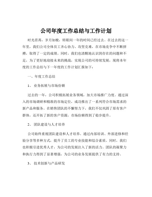 公司年度工作总结与工作计划