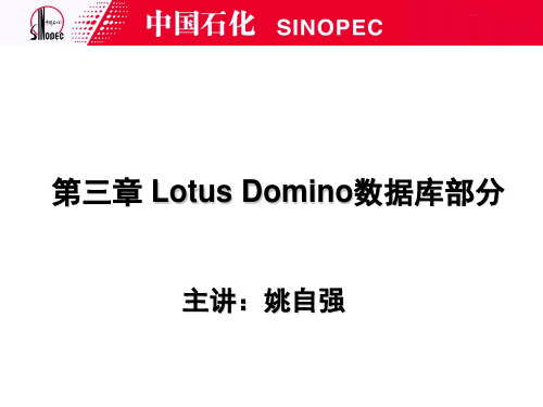 Domino数据库