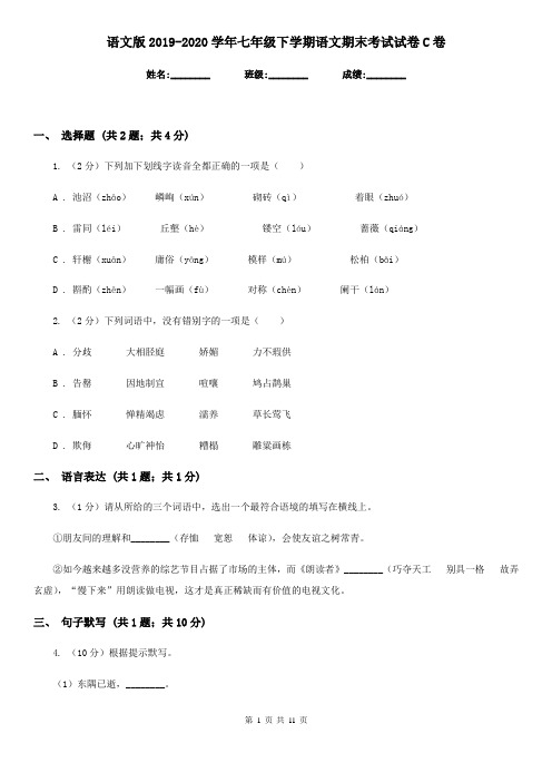 语文版2019-2020学年七年级下学期语文期末考试试卷C卷