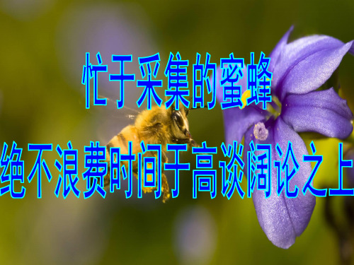 求百分率分数、小数化百分数
