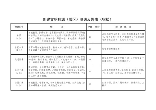 创建文明县城(城区)暗访反馈表(宿松)【模板】