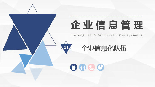 第11章 企业信息化队伍