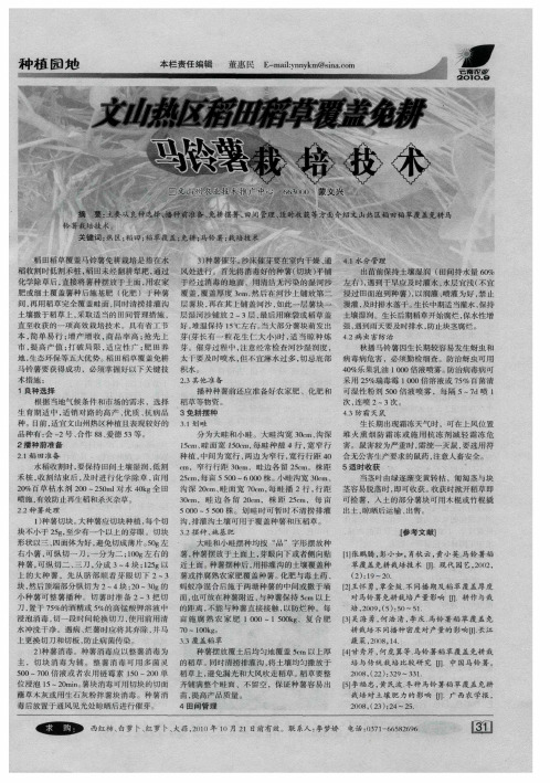 文山热区稻田稻草覆盖免耕马铃薯栽培技术