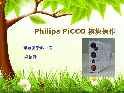 PICCO  监测