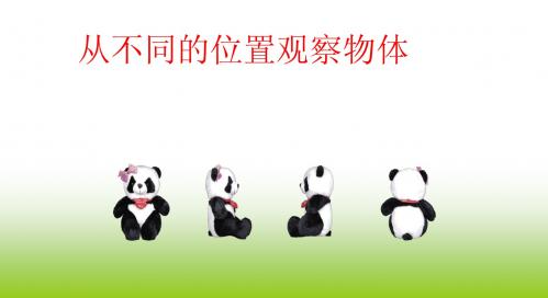 观察物体说课课件