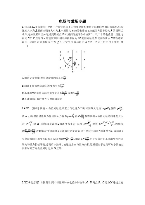 电场与磁场专题(2024高考真题及解析)