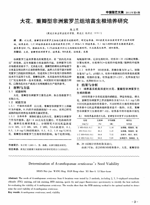 大花、重瓣型非洲紫罗兰组培苗生根培养研究