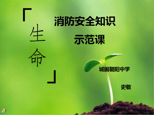 消防安全示范课