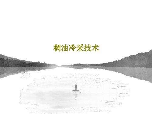 稠油冷采技术49页PPT