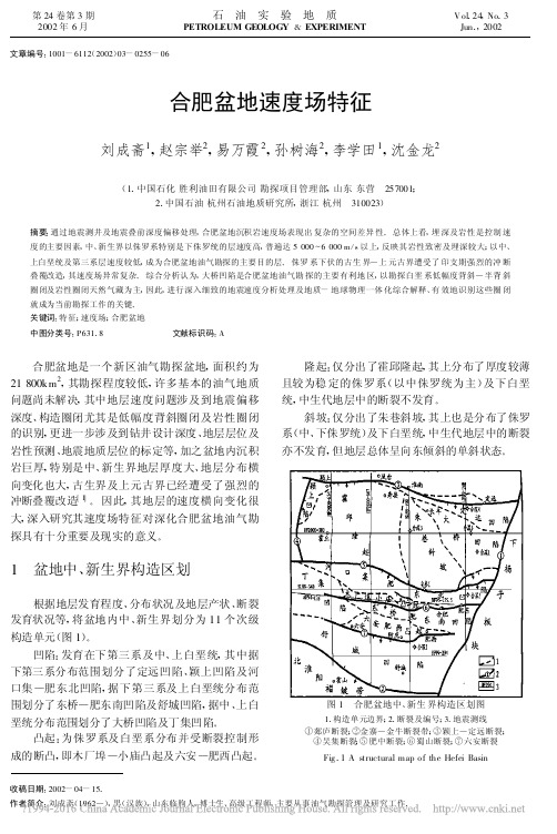 合肥盆地速度场特征_刘成斋