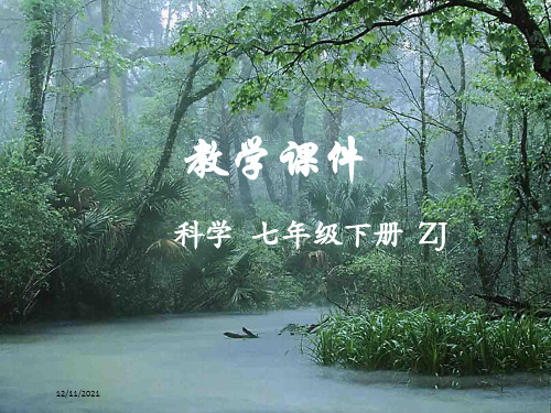 七年级科学下册 第4章 地球与宇宙 第7节 探索宇宙教学课件浙教级下册自然科学课件