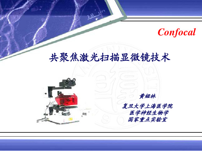 激光共聚焦显微镜的使用和应用