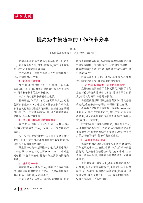 提高奶牛繁殖率的工作细节分享