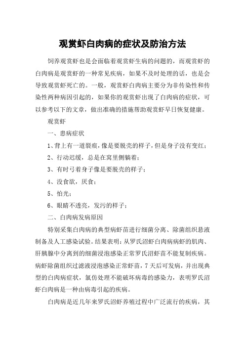 观赏虾白肉病的症状及防治方法
