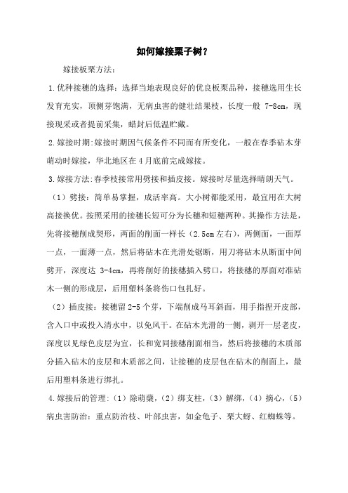 如何嫁接栗子树？