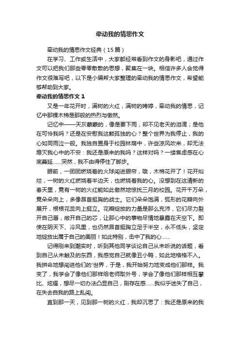 牵动我的情思作文经典（15篇）