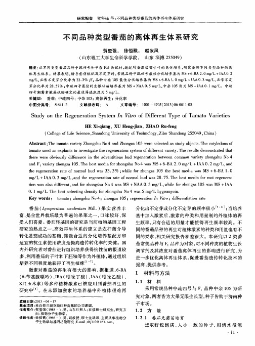 不同品种类型番茄的离体再生体系研究