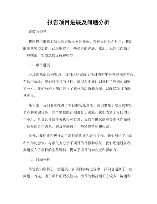 报告项目进展及问题分析