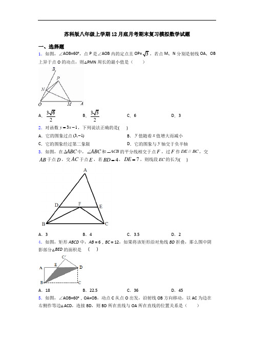 苏科版八年级上学期12月底月考期末复习模拟数学试题