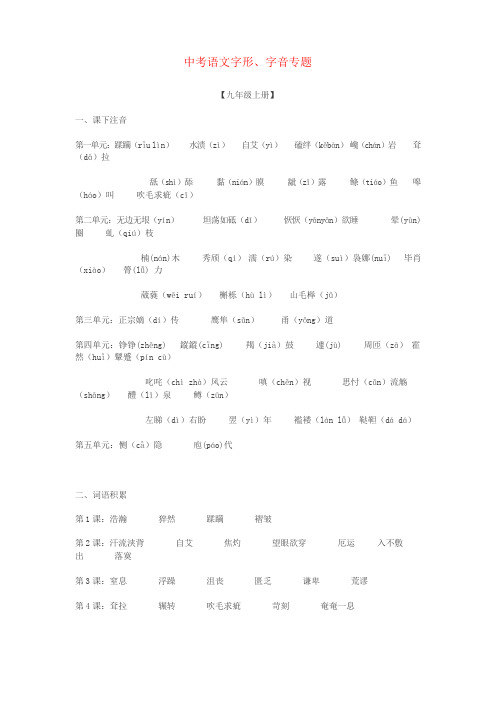 2017中考中考语文总复习 专项复习资料 字形、字音专题素材 新人教版