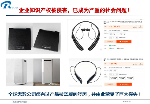 武汉瑞纳捷加密芯片