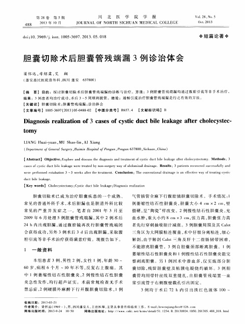 胆囊切除术后胆囊管残端漏3例诊治体会