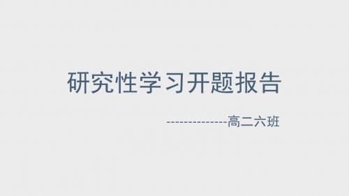 开题报告