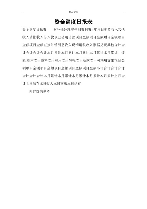 资金调度日报表