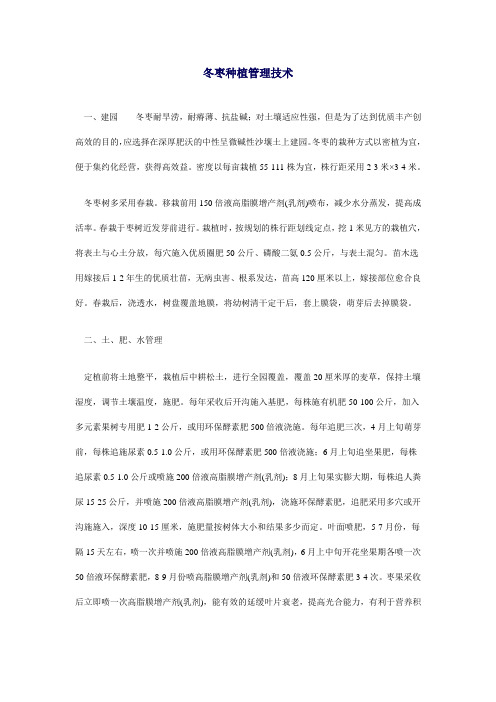 冬枣种植管理技术