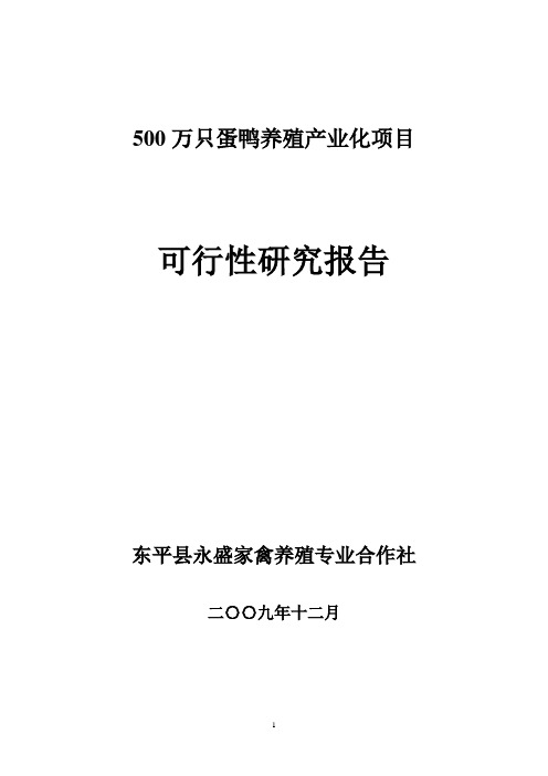 蛋鸭养殖繁育产业化项目可行性研究报告(郑继峰)