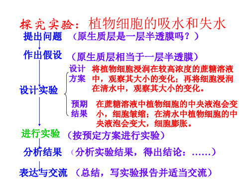 高一生物质壁分离与复原(PPT)4-2