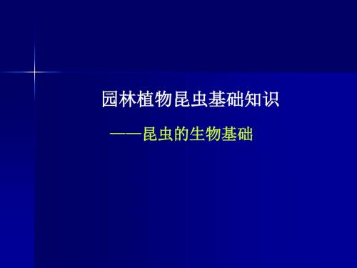 园林植物病虫害防治课件：园林植物昆虫基础知识-昆虫的生物基础02-PPT精选文档