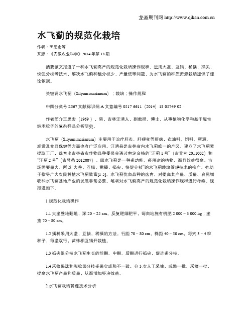 水飞蓟的规范化栽培