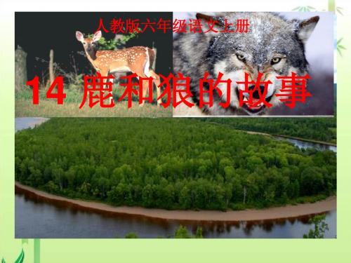 最新人教版六年级语文上册鹿和狼的故事课件ppt