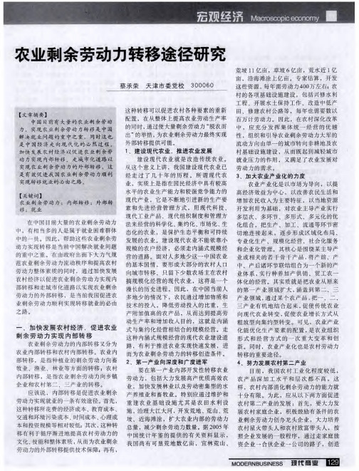 农业剩余劳动力转移途径研究