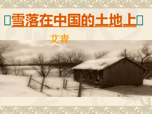 《雪落在中国的土地上》课件PPT汇总