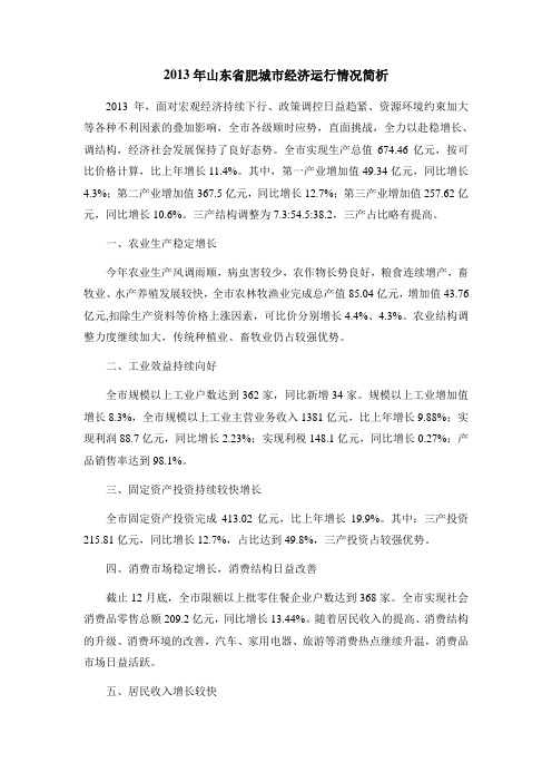 2013年山东省肥城市经济运行情况简析