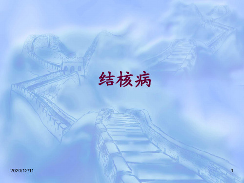 结核病讲稿ppt课件